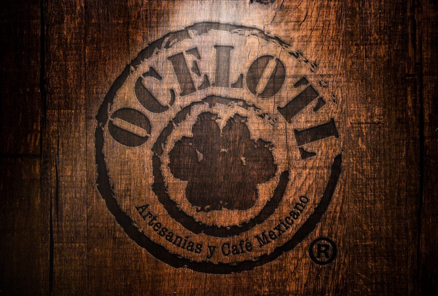 Ocelotl
